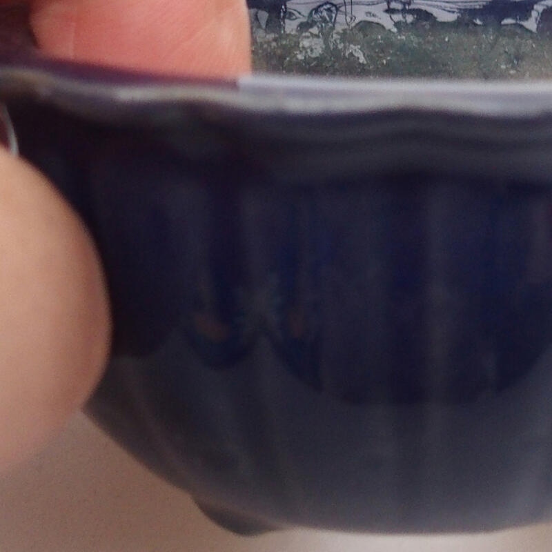 Ciotola per bonsai in ceramica 6 x 6 x 3,5 cm, colore blu