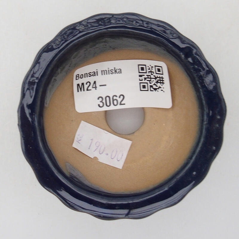 Ciotola per bonsai in ceramica 6 x 6 x 3,5 cm, colore blu