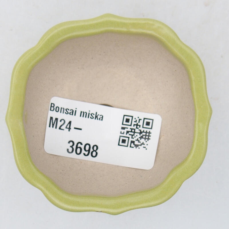 Ciotola bonsai in ceramica 6 x 6 x 3 cm, verde