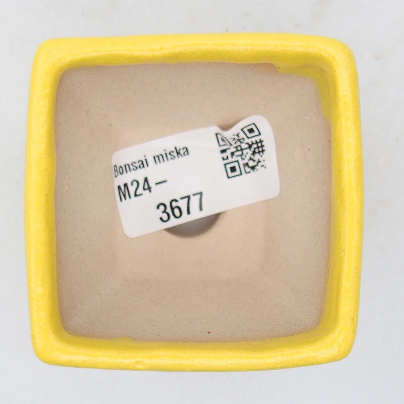 Ciotola bonsai in ceramica 6 x 6 x 4,5 cm, giallo