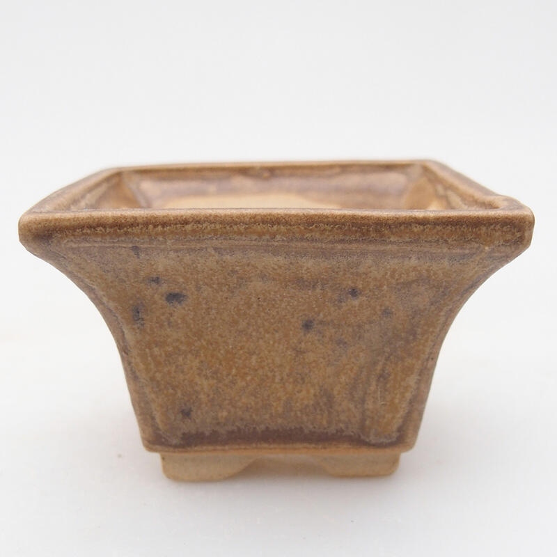 Ciotola per bonsai in ceramica 6 x 6 x 4 cm, colore beige