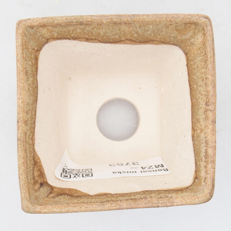 Ciotola per bonsai in ceramica 6 x 6 x 4 cm, colore beige