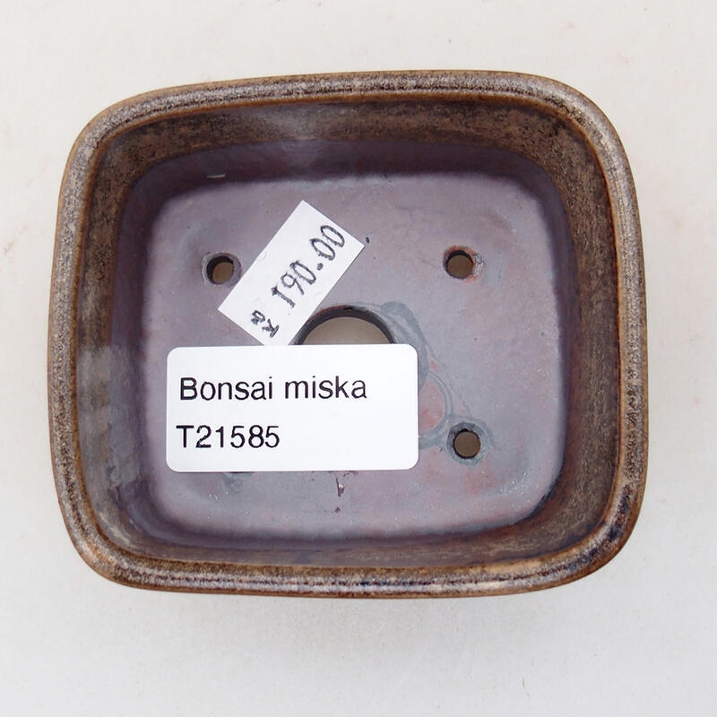 Ciotola per bonsai in ceramica 7,5 x 7 x 3 cm, marrone