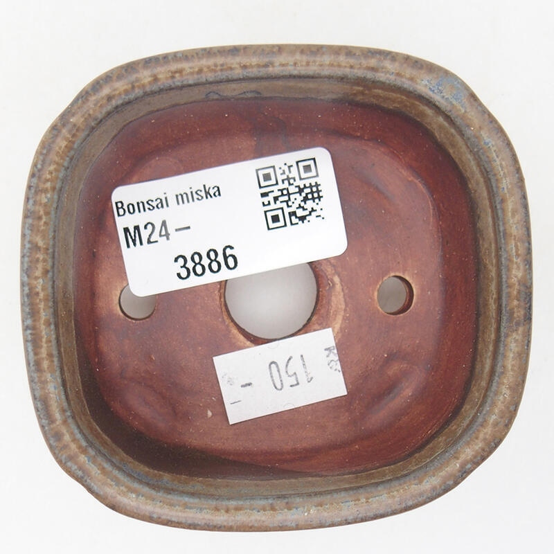 Ciotola per bonsai in ceramica 7,5 x 7 x 4 cm, marrone