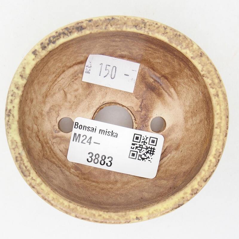 Ciotola per bonsai in ceramica 7,5 x 7 x 4 cm, verde