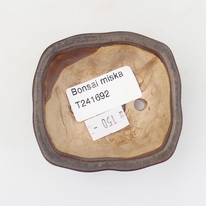 Ciotola per bonsai in ceramica 7 x 6,5 x 3,5 cm, marrone