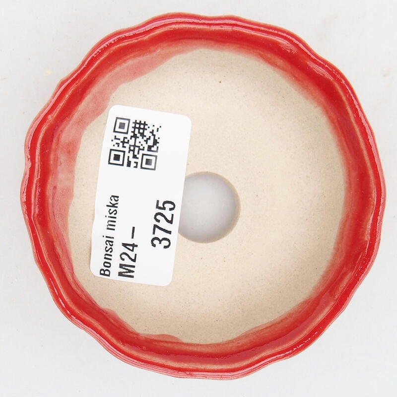 Ciotola per bonsai in ceramica 7 x 7 x 2,5 cm, colore rosso