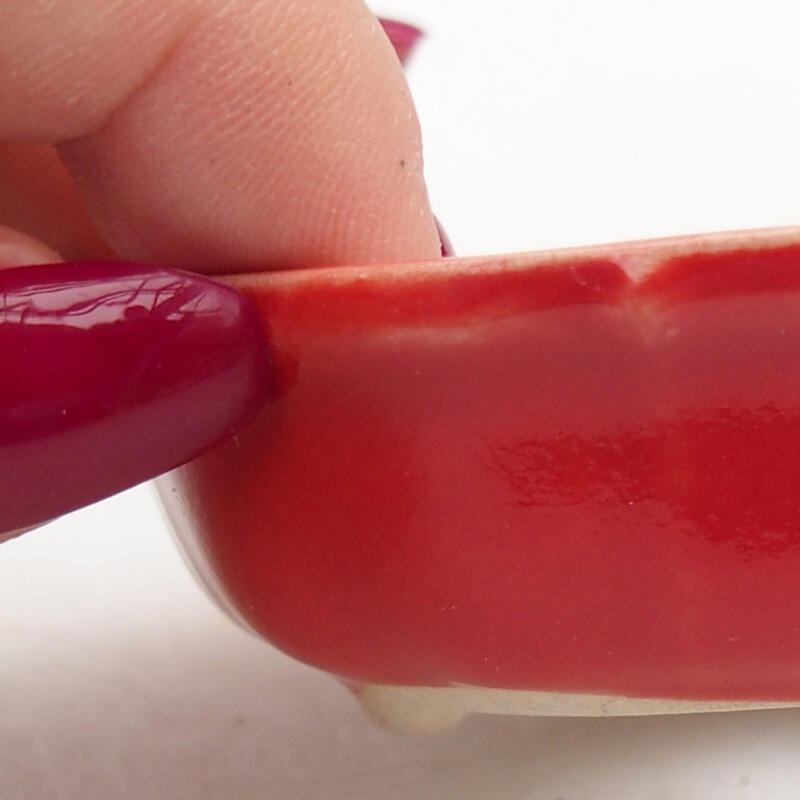 Ciotola per bonsai in ceramica 7 x 7 x 2,5 cm, colore rosso