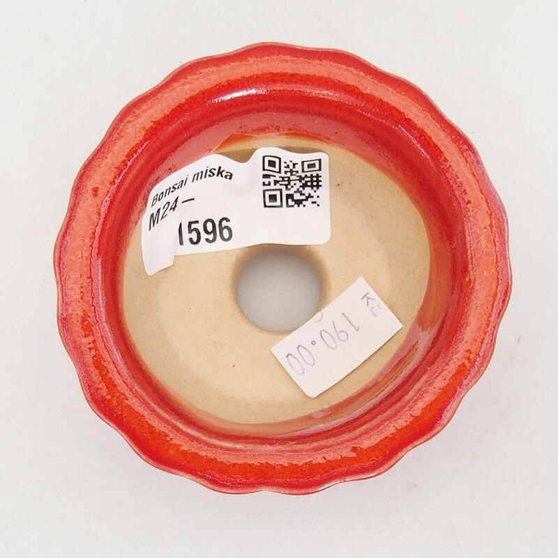 Ciotola per bonsai in ceramica 7 x 7 x 3,5 cm, colore rosso