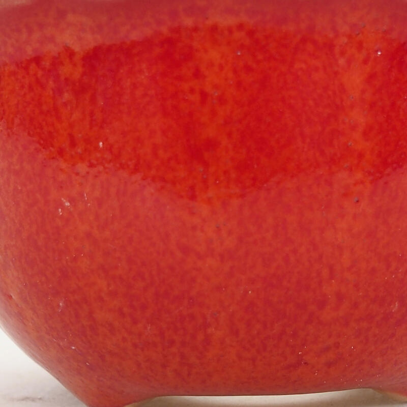 Ciotola per bonsai in ceramica 7 x 7 x 3,5 cm, colore rosso