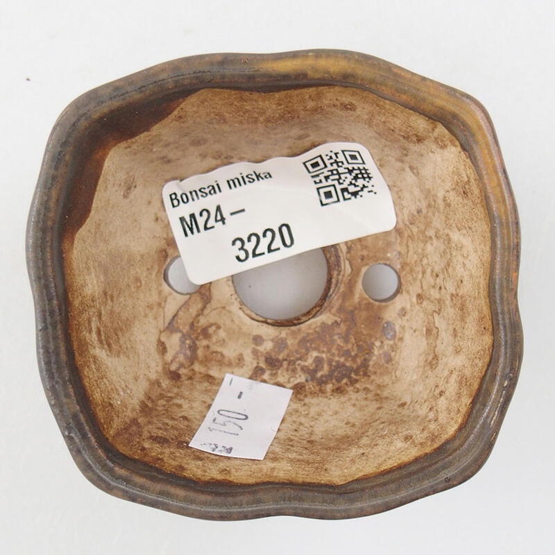 Ciotola per bonsai in ceramica 7 x 7 x 3,5 cm, marrone