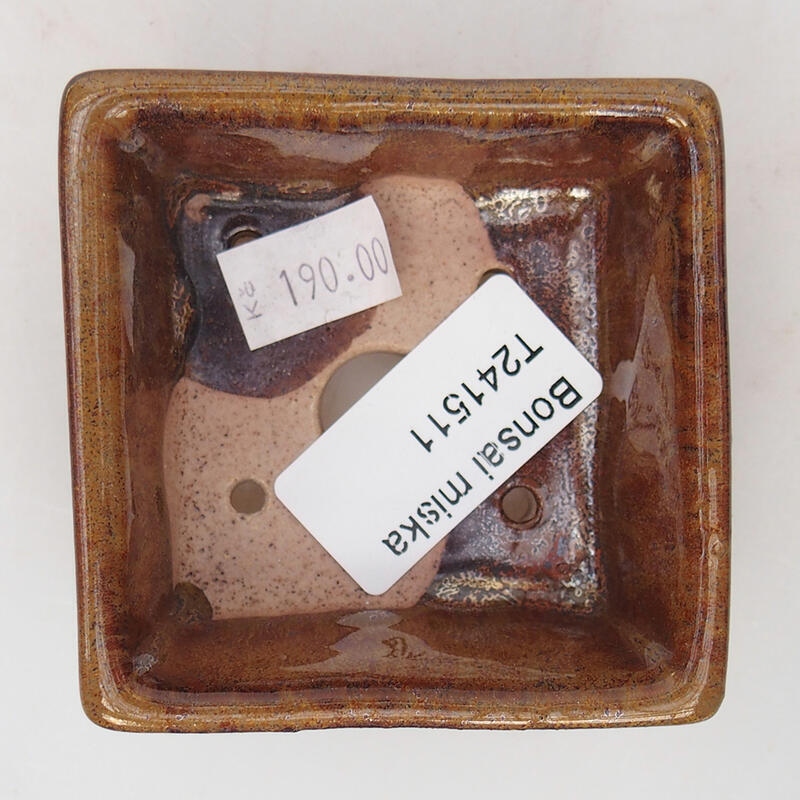 Ciotola per bonsai in ceramica 7 x 7 x 3 cm, marrone