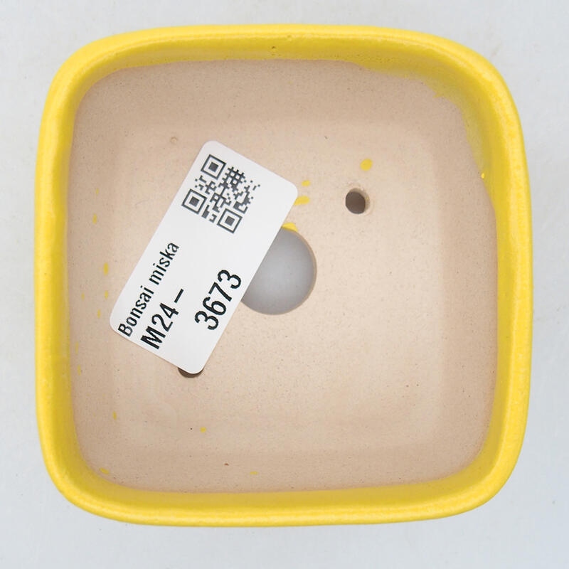 Ciotola bonsai in ceramica 7 x 7 x 4 cm, giallo