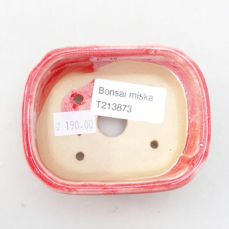 Ciotola per bonsai in ceramica 8,5 x 7 x 3,5 cm, rossa e bianca