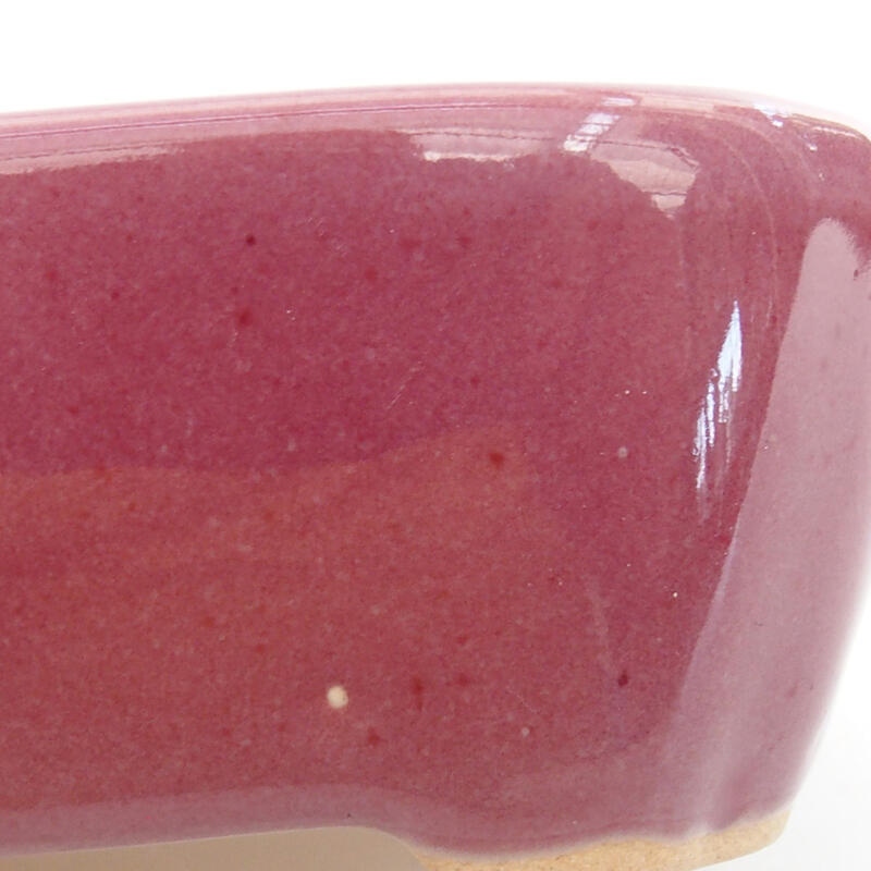 Ciotola per bonsai in ceramica 8,5 x 7 x 3,5 cm, colore viola