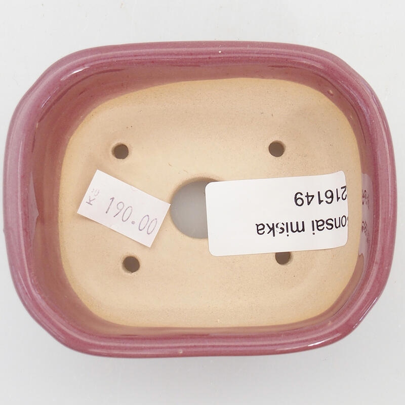 Ciotola per bonsai in ceramica 8,5 x 7 x 3,5 cm, colore viola