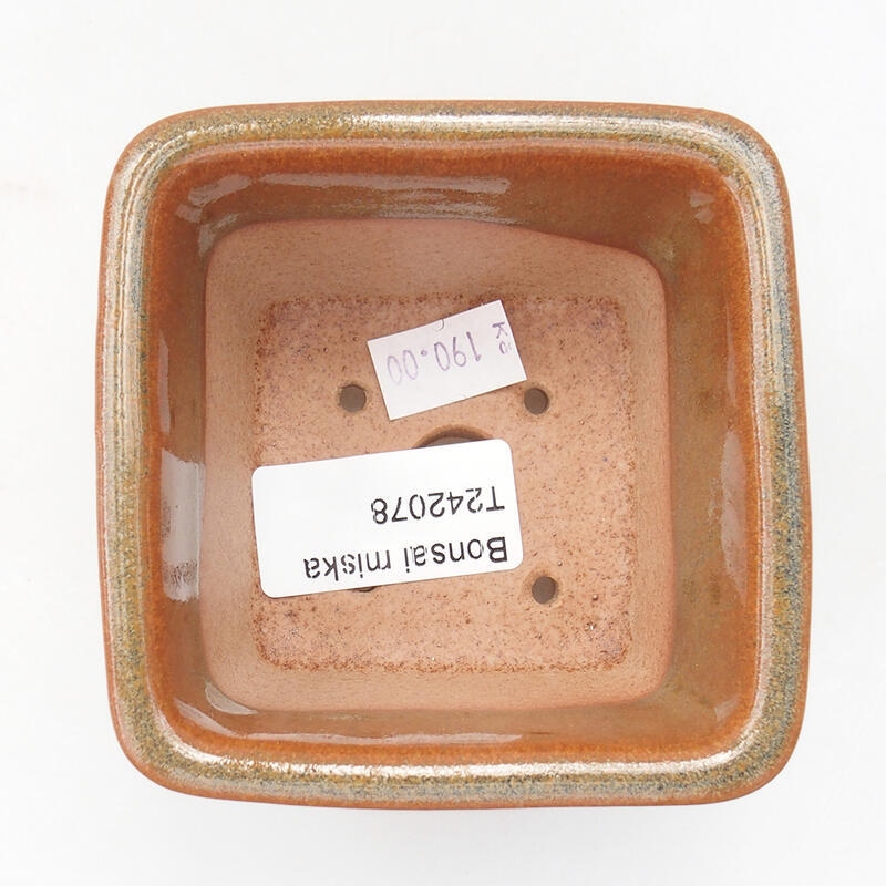 Ciotola per bonsai in ceramica 8,5 x 8,5 x 5,5 cm, marrone