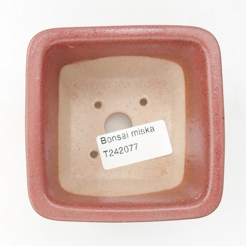 Ciotola bonsai in ceramica 8,5 x 8,5 x 5,5 cm, bordeaux