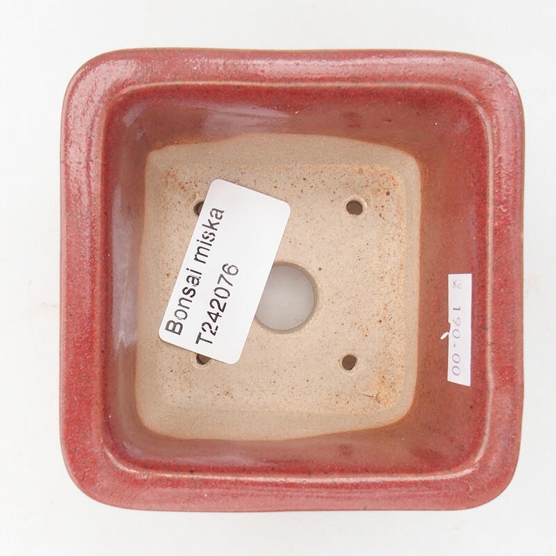 Ciotola bonsai in ceramica 8,5 x 8,5 x 5,5 cm, bordeaux