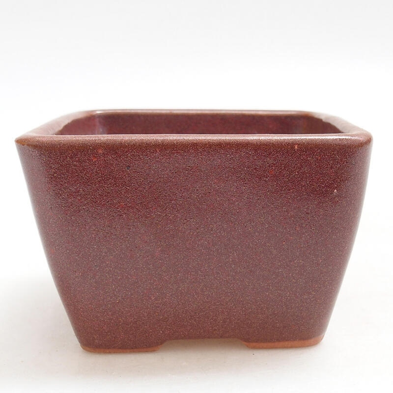 Ciotola bonsai in ceramica 8,5 x 8,5 x 5,5 cm, bordeaux