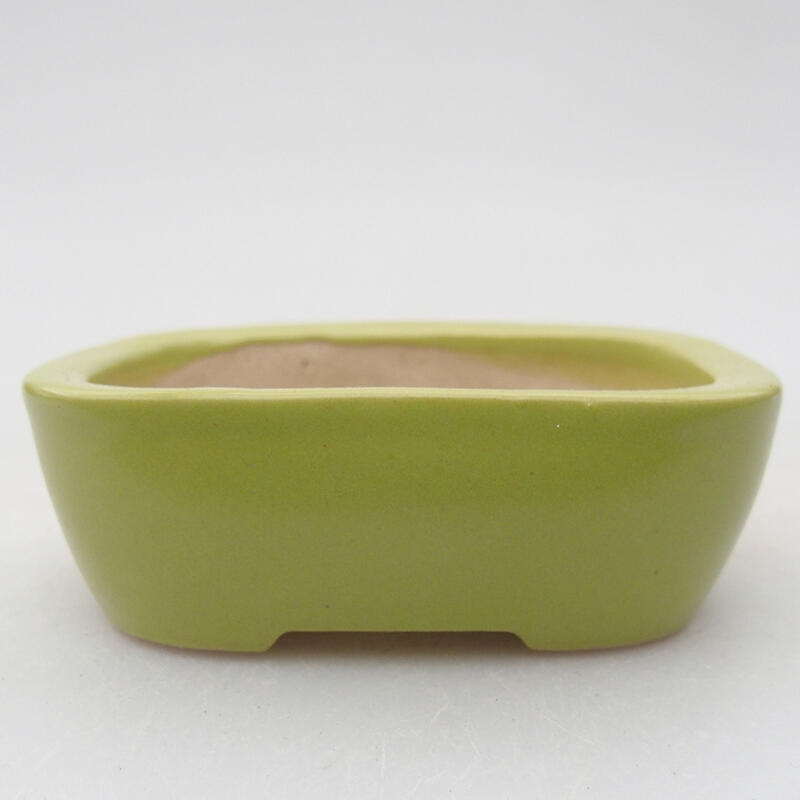 Ciotola bonsai in ceramica 8 x 6 x 3 cm, verde