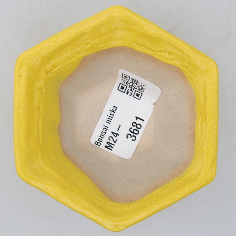 Ciotola bonsai in ceramica 8 x 7,5 x 3 cm, giallo