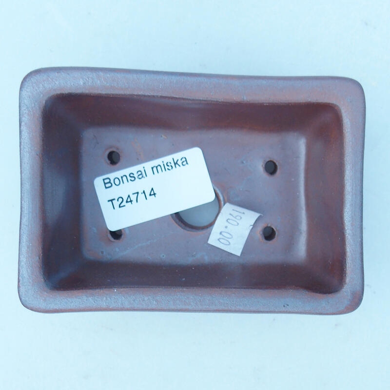Ciotola bonsai in ceramica 8 x 7 x 3 cm, colore metallo