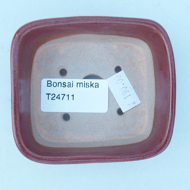 Ciotola bonsai in ceramica 8 x 7 x 3 cm, rosa