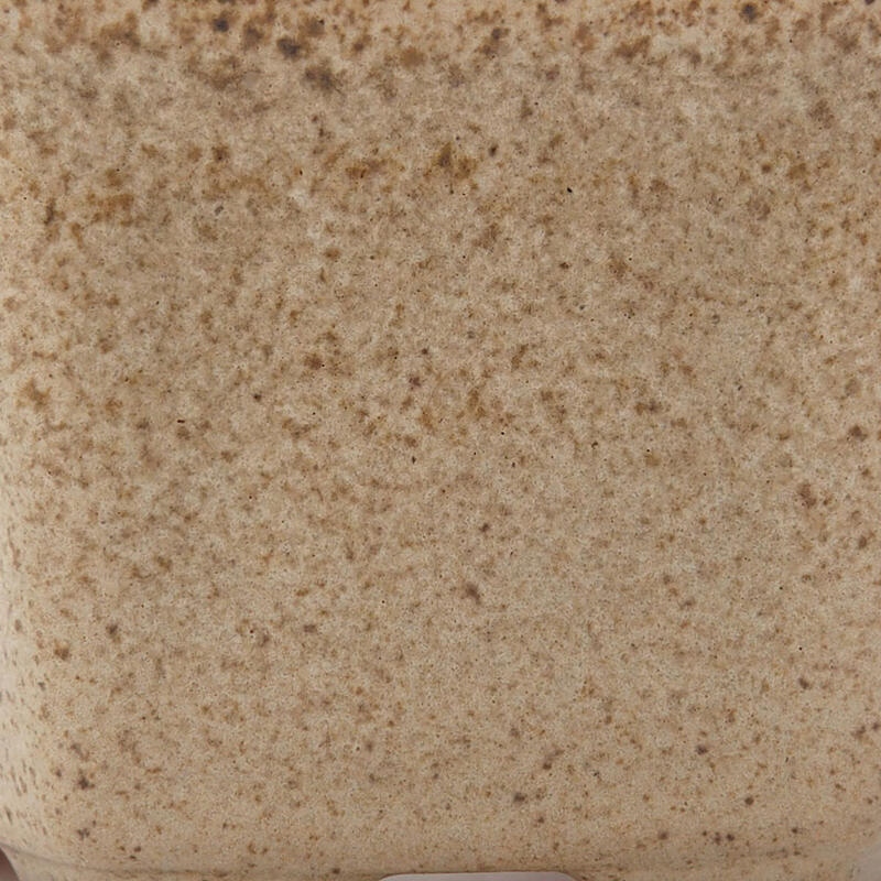 Ciotola per bonsai in ceramica 8 x 7 x 4 cm, colore beige