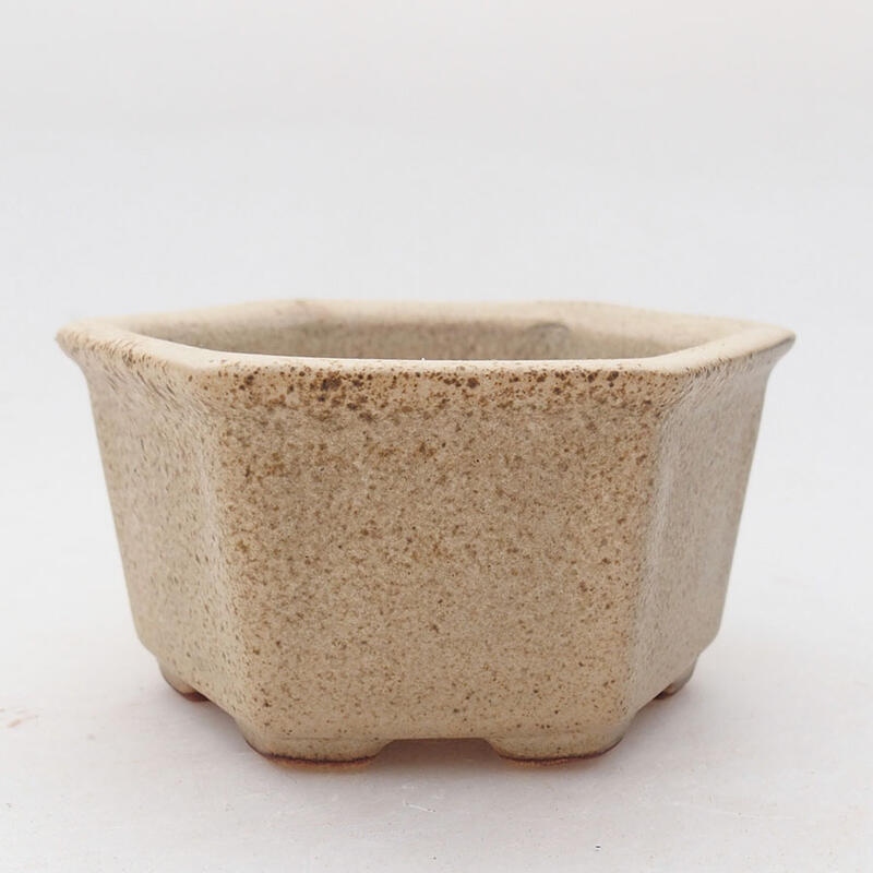 Ciotola per bonsai in ceramica 8 x 7 x 4 cm, colore beige