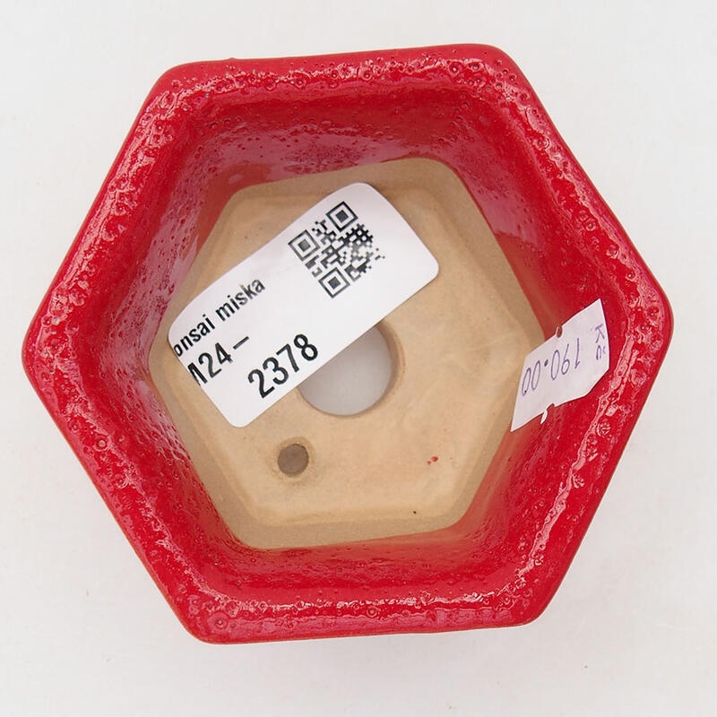 Ciotola per bonsai in ceramica 8 x 7 x 4 cm, colore rosso