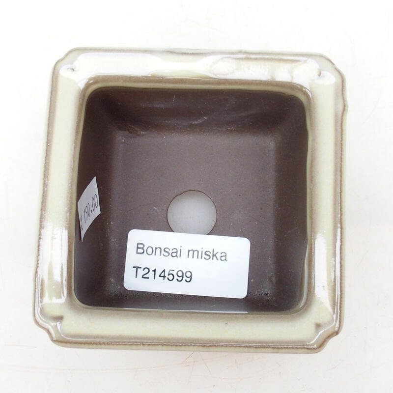 Ciotola per bonsai in ceramica 8 x 8 x 4,5 cm, colore beige