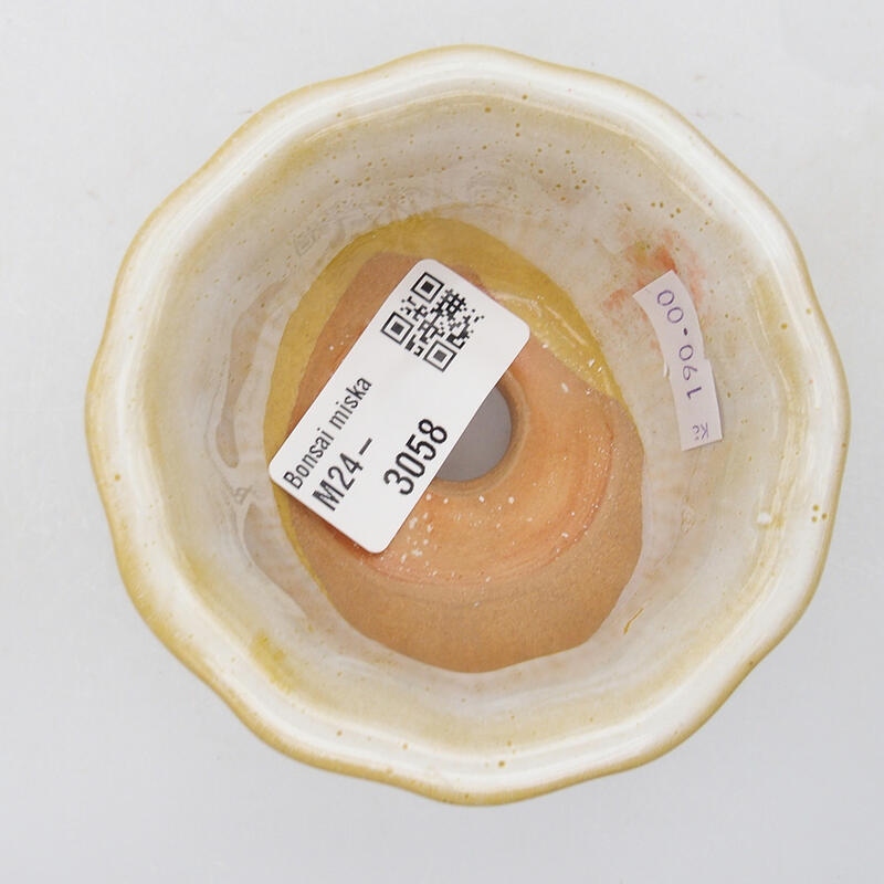 Ciotola per bonsai in ceramica 8 x 8 x 4 cm, bianca