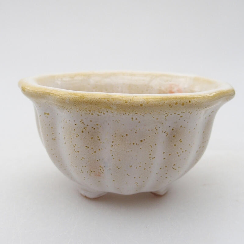 Ciotola per bonsai in ceramica 8 x 8 x 4 cm, bianca