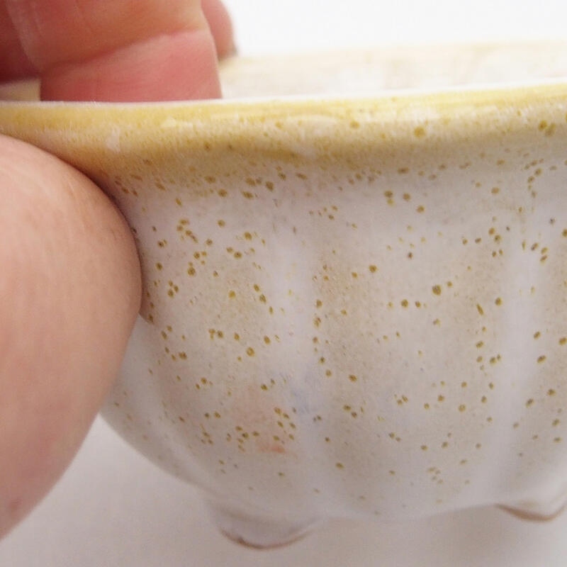 Ciotola per bonsai in ceramica 8 x 8 x 4 cm, bianca