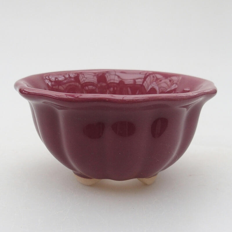 Ciotola per bonsai in ceramica 8 x 8 x 4 cm, colore viola