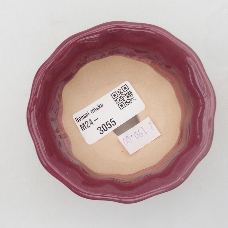Ciotola per bonsai in ceramica 8 x 8 x 4 cm, colore viola