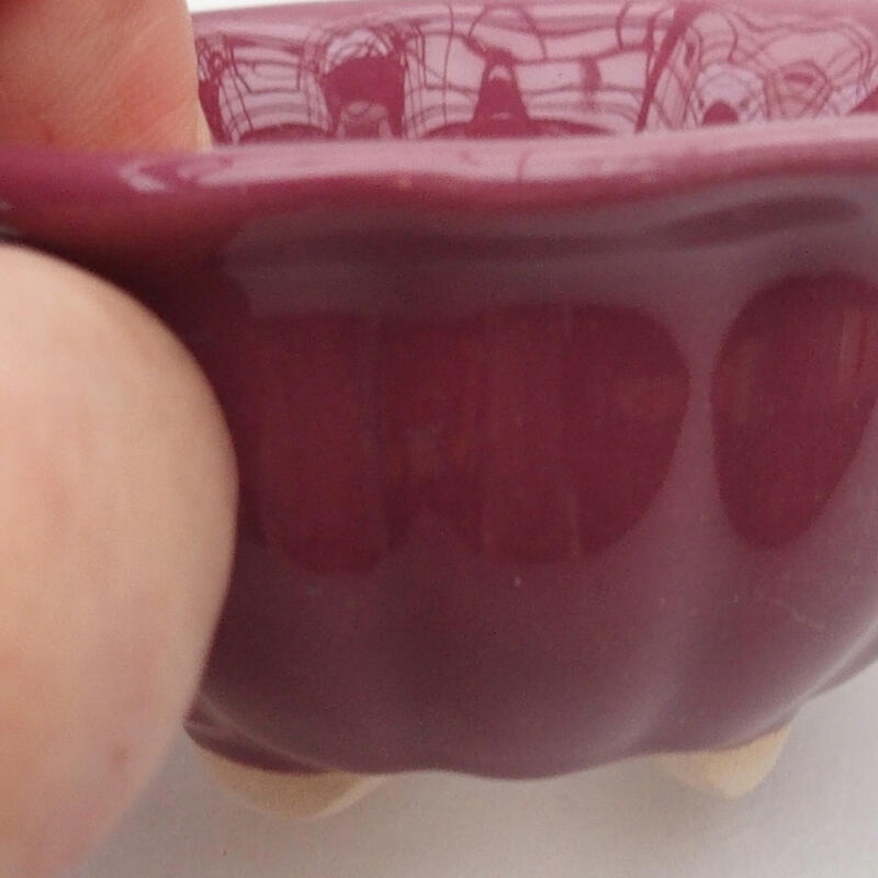 Ciotola per bonsai in ceramica 8 x 8 x 4 cm, colore viola