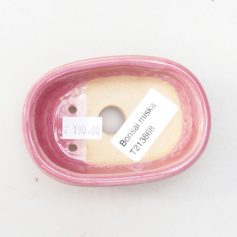 Ciotola bonsai in ceramica 9,5 x 6,5 x 3 cm, rosa