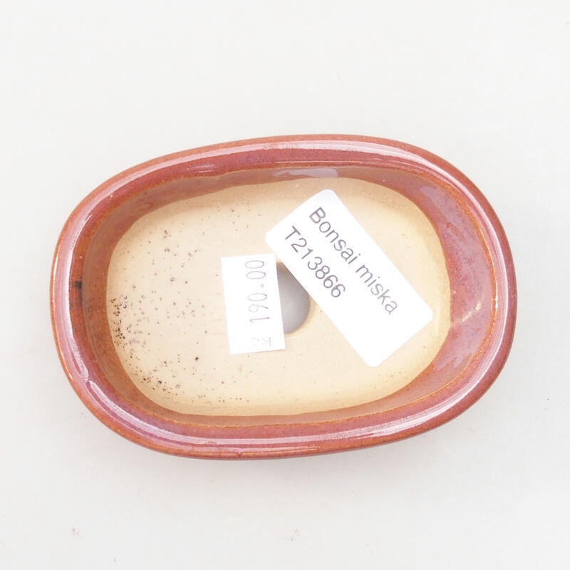 Ciotola bonsai in ceramica 9,5 x 6,5 x 3 cm, rosa