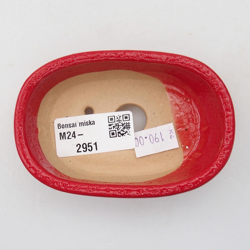 Ciotola per bonsai in ceramica 9,5 x 6 x 2,5 cm, colore rosso