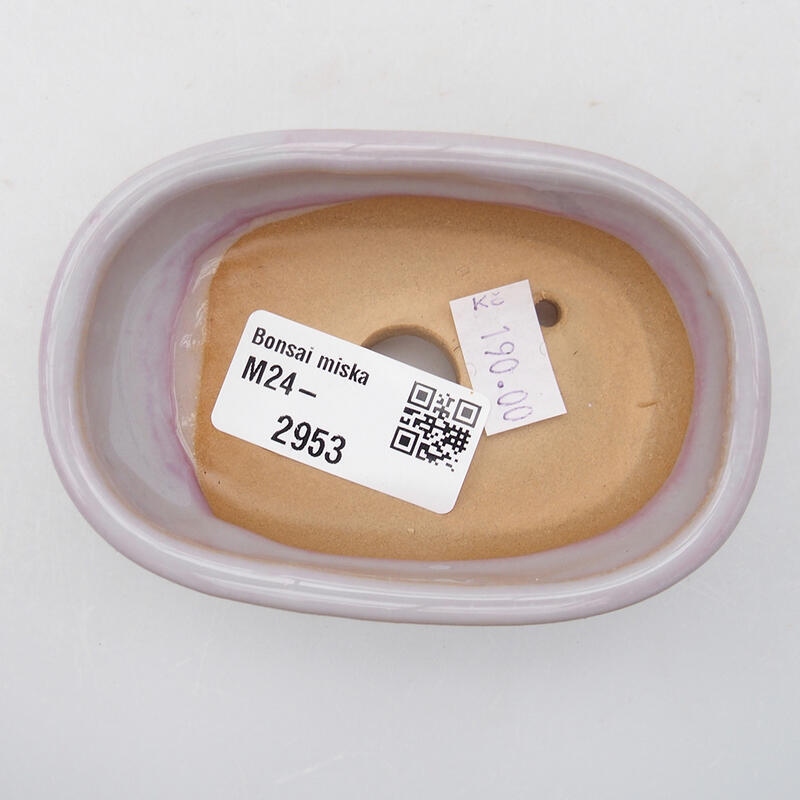 Ciotola per bonsai in ceramica 9,5 x 6 x 2,5 cm, colore viola