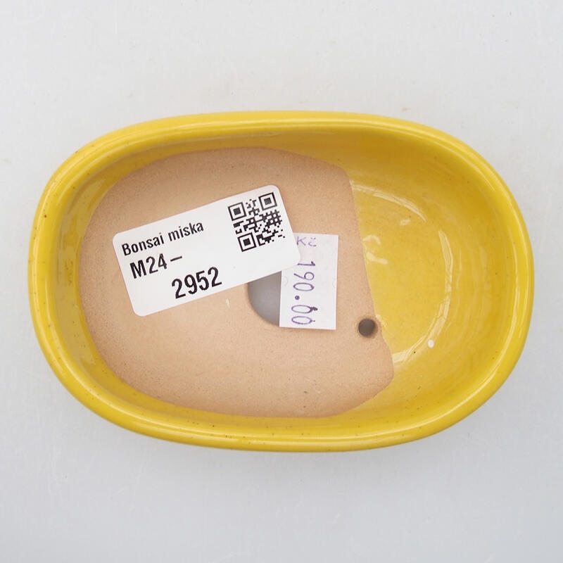 Ciotola bonsai in ceramica 9,5 x 6 x 2,5 cm, giallo