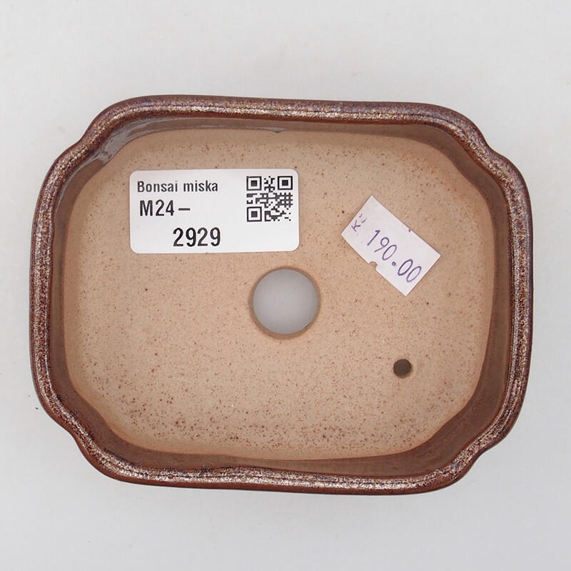 Ciotola per bonsai in ceramica 9,5 x 7,5 x 3,5 cm, marrone