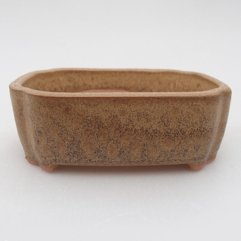 Ciotola per bonsai in ceramica 9,5 x 7,5 x 3,5 cm, marrone