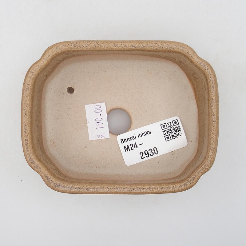 Ciotola per bonsai in ceramica 9,5 x 7,5 x 3,5 cm, marrone