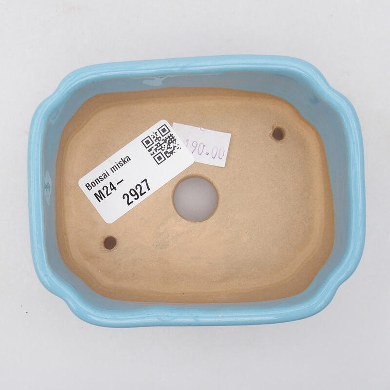 Ciotola bonsai in ceramica 9,5 x 7,5 x 3,5 cm, colore blu