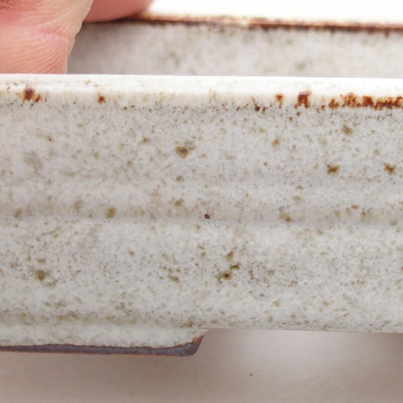 Ciotola per bonsai in ceramica 9,5 x 7 x 2,5 cm, colore beige