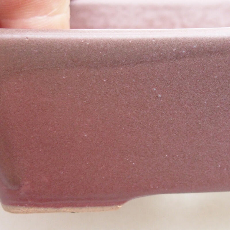 Ciotola per bonsai in ceramica 9,5 x 7 x 3,5 cm, colore viola