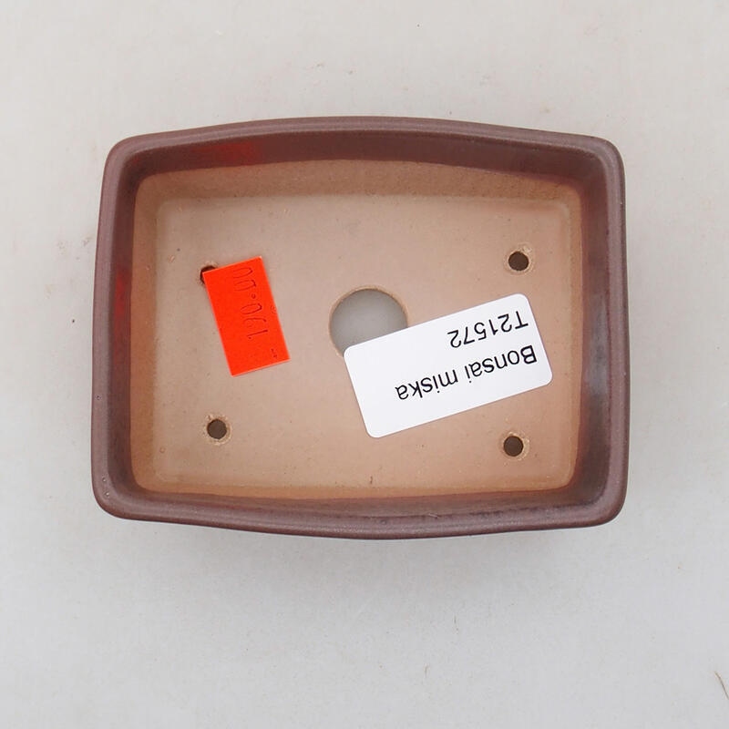 Ciotola per bonsai in ceramica 9,5 x 7 x 3,5 cm, colore viola